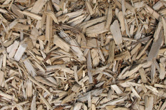 biomass boilers Caledon